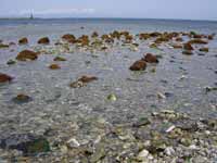 ��Ԃ���k�C����]��